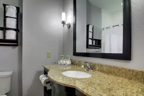 Holiday Inn Express Natchez South West by IHG - Salle de bain