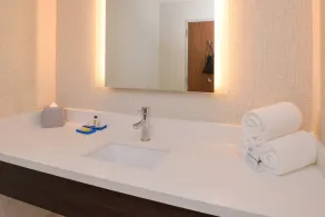 Holiday Inn Express & Suites - Shreveport - Downtown by IHG - Salle de bain