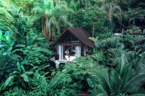 Oxygen Jungle Villas & Spa - View from room