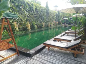 Sapodilla Ubud - Pool