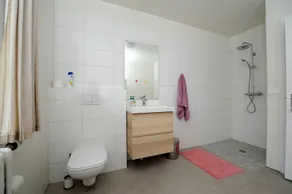 Arsalir Guesthouse Vik B&B - Badrum