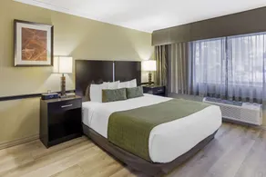 Best Western Canoga Park Motor Inn - Chambre