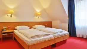 Hotel Restaurant Krokodil - Room