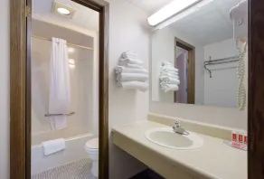 Econo Lodge Inn & Suites Escanaba North - Salle de bain