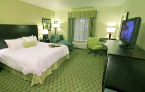Hampton Inn Gadsden/Attalla I-59 - Chambre