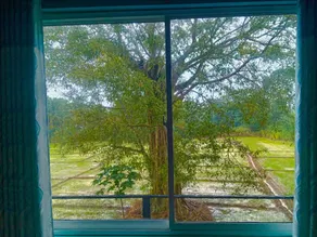 Bungalow Resort - Sigiriya - View from room