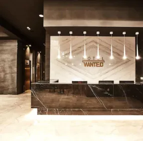 Hotel Wanted - Reception