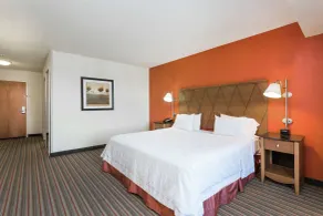 Hampton Inn Petersburg-Southpark Mall - Chambre