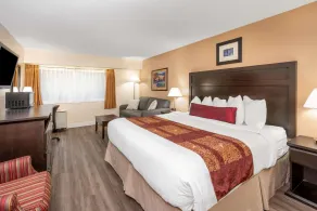 Ramada by Wyndham Coquitlam - Chambre