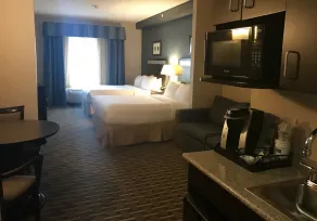 Holiday Inn Express & Suites Morton Peoria Area by IHG - Chambre