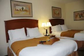 Holiday Inn Express Hotel & Suites Dallas - Grand Prairie I-20 by IHG - Chambre