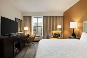 Hampton Inn & Suites Roanoke-Downtown - Chambre