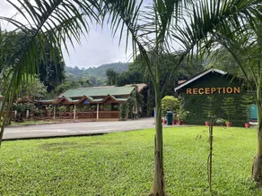 The Greenwood Resort, Guwahati - Reception