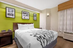Sleep Inn at Greenville Convention Center - Chambre