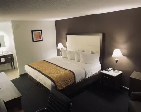 Wyndham Garden Detroit Metro Airport - Chambre