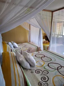 Hotel Green Mountain Turrialba - Habitación