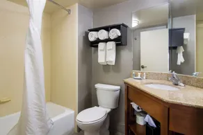 Comfort Inn Cadillac - Salle de bain