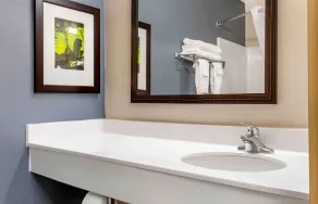 Extended Stay America Suites - Fort Worth - City View - Bathroom