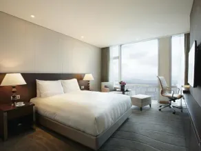 LOTTE CITY HOTEL Jeju Airport - Vista do quarto