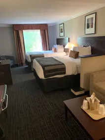 Wingate by Wyndham Athens GA - Chambre