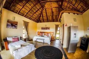 Tshikwalo Game Lodge - Room