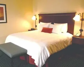Hampton Inn & Suites Detroit/Chesterfield Township - Chambre
