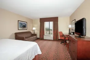 Hampton Inn & Suites Denver/South-RidgeGate - Chambre
