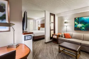 Hyatt Place Atlanta Duluth Johns Creek - Room
