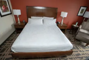 Hilton Garden Inn Dayton South-Austin Landing - Chambre