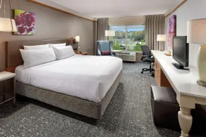 Hilton Garden Inn Portland/Lake Oswego - Chambre