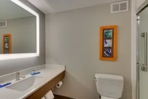 Holiday Inn Express & Suites Atlanta Perimeter Mall Hotel by IHG - Baño