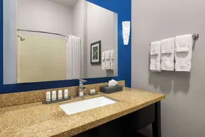 La Quinta by Wyndham Denton - University Drive - Salle de bain