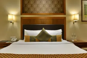 Madhubhan Resort & Spa - Room