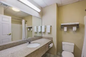 Econo Lodge Inn & Suites Marianna South - Salle de bain