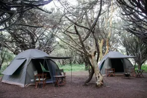 Maji Moto Maasai Cultural Camp - Room