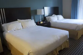 Holiday Inn Express & Suites Youngstown West - Austintown by IHG - Chambre