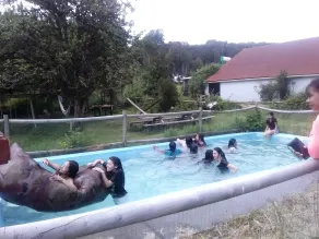 Ecoturismo Los Manzanos - Piscina