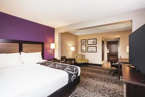 Comfort Inn & Suites Clearwater South - Rom