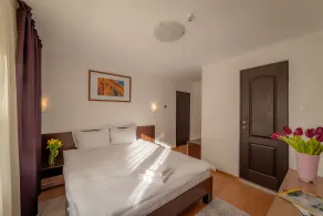 Pension Cluj - Room