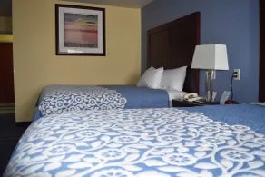 Days Inn by Wyndham Grand Island - Chambre
