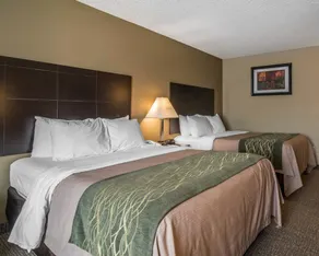 Comfort Inn Saugerties - Room