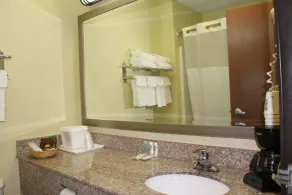 Quality Inn Evansville Eastland Area - Salle de bain