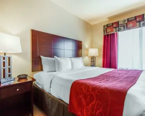 Comfort Suites Florence Shoals Area - Chambre