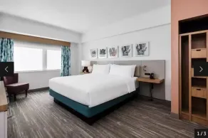 Hilton Garden Inn Ithaca - Rum