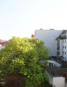 Senator Hotel - Ausblick vom Zimmer
