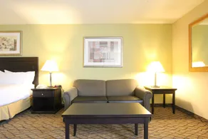 Holiday Inn Express & Suites Chicago-Libertyville by IHG - Chambre