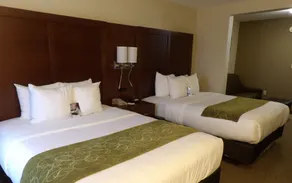 Comfort Suites Omaha East-Council Bluffs - Chambre