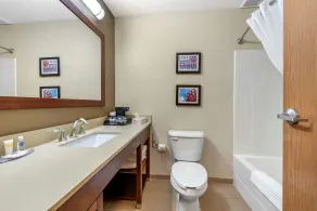 Comfort Inn & Suites Cincinnati Eastgate - Salle de bain