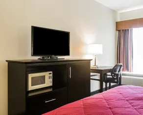 Quality Inn & Suites North Montgomery - Room
