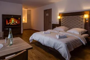 Motel Zur Dachsbaude - Quarto